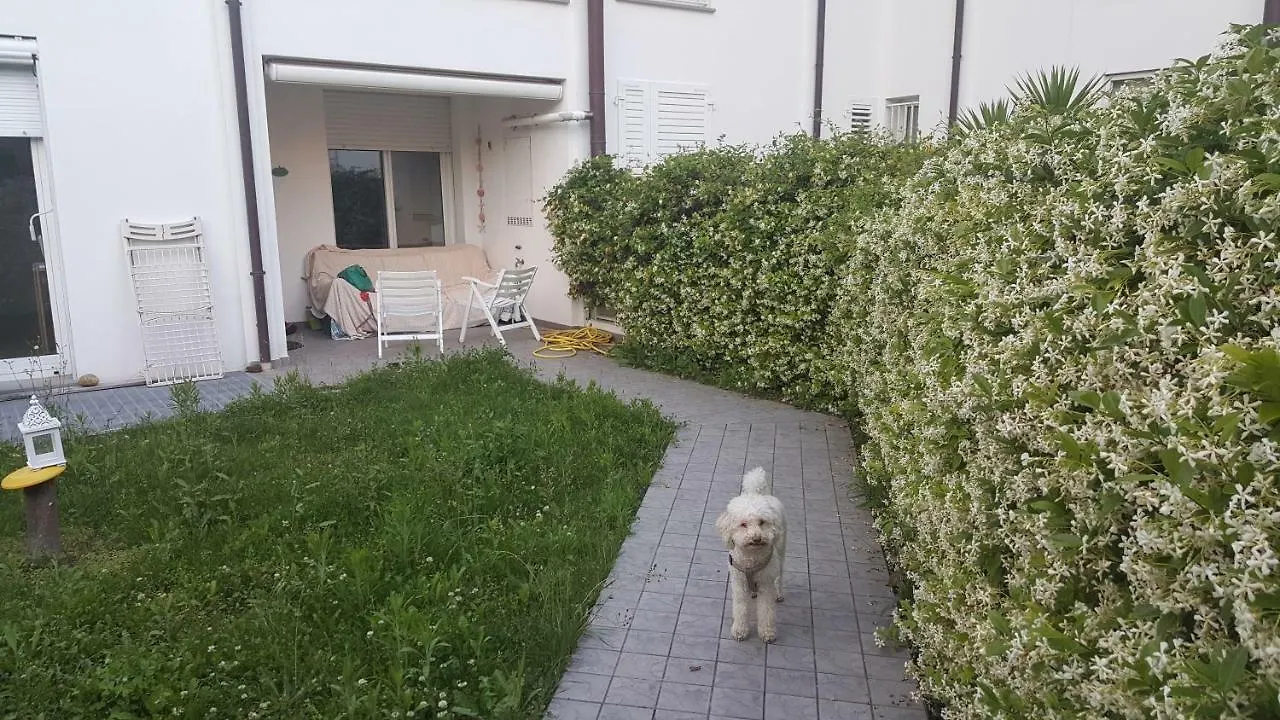 Condominio Vite Misano Adriatico 0*,