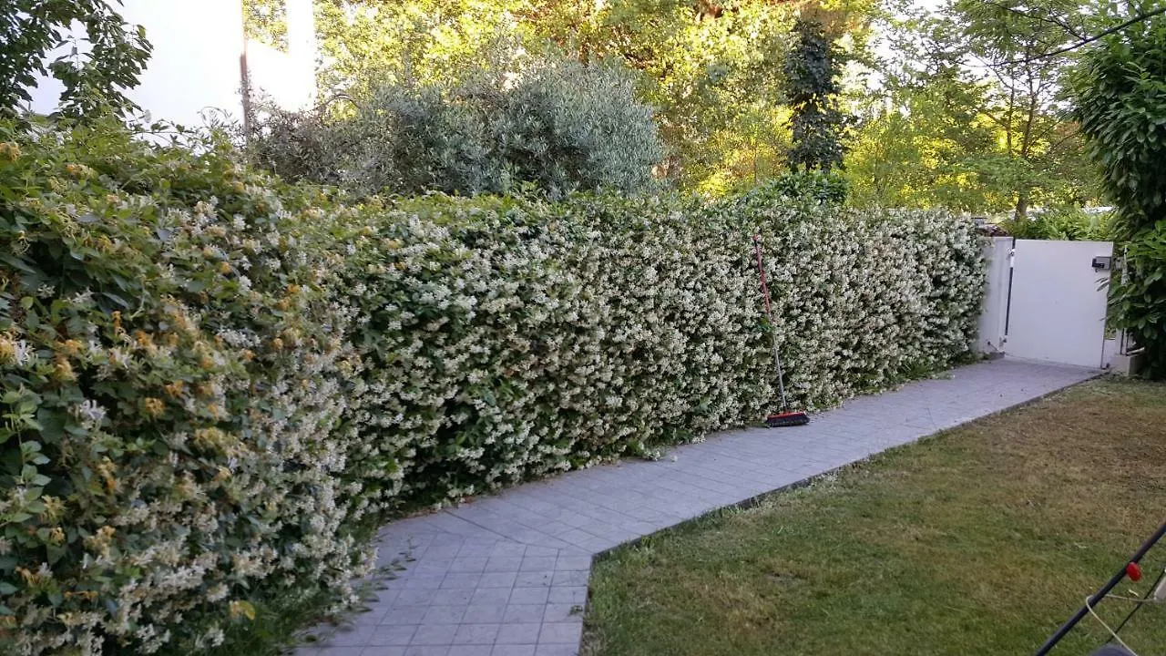 Condominio Vite Misano Adriatico
