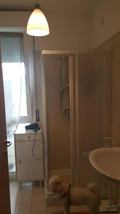 Condominio Vite Misano Adriatico 0*,